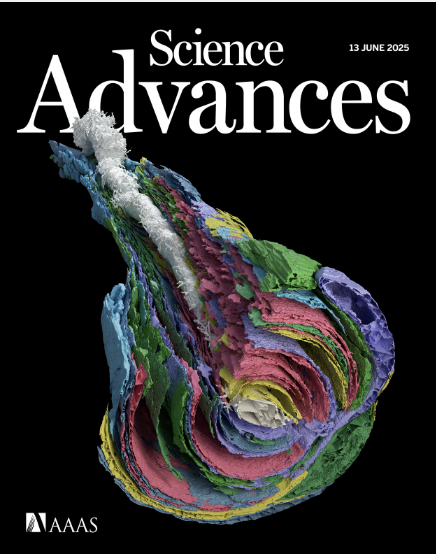 Science Advances