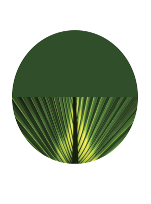 Environmental Research Letters