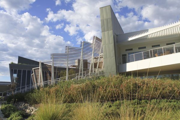A hillside planted with shrubs and ornamental grasses has a large, modern-style building behind it.