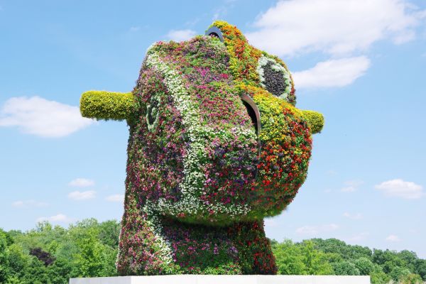 A large sculpture of an animal head made from plants, with one side of the head resembling a child’s rocking horse, and the other side a dinosaur. 