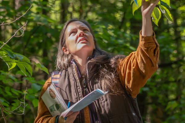 Surrounded by an abundance of green, a participant reaches up to carefully inspect a particular branch of leaves during one of Tremont’s herpetology SANCP classes.