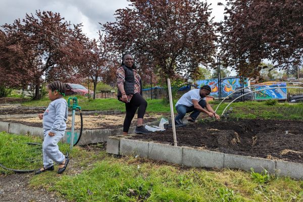 Two adults readying a garden plot for planting with young child in foreground.