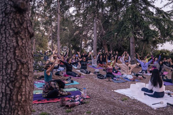 A large group of people sit barefoot or in socks on towels and yoga mats while in a sitting yoga pose. The people are sitting among coniferous trees in a forest as the sky begins to darken.