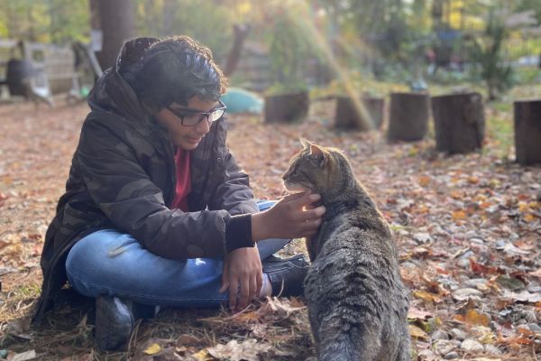 Holding a gaze: Animal assisted social skill development. A teenager in a dark jacket and blue jeans kneels on the forest floor, smiling and petting a tabby cat. He is surrounded by fallen autumn leaves as sunlight gently filters through the trees in the background.