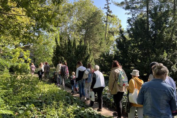 A long line of people walking along a sunny dirt path lined with tall trees and lush plants in the Odesa Botanical Garden.