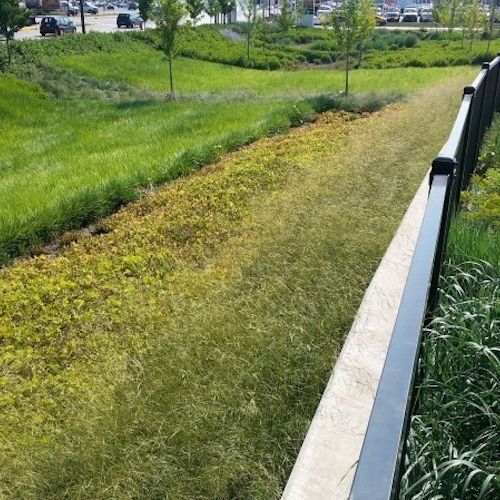 A long barrier and fence in the center of the photo separates a sunken area to the left, planted with mown grass, and a lush garden on the right, filled with blooming plants.