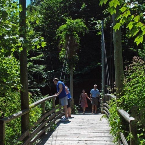 People walk over a wooden foot bridge surrounded by a variety of greenery including trees and climbing vines.