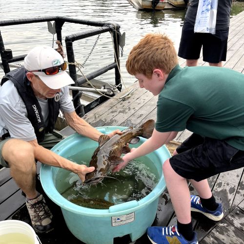 On a wooden dock over calm water, a man in a life vest helps a young boy pick up and hold a brown catfish. This fish was held in a blue bucket with other brown fish.