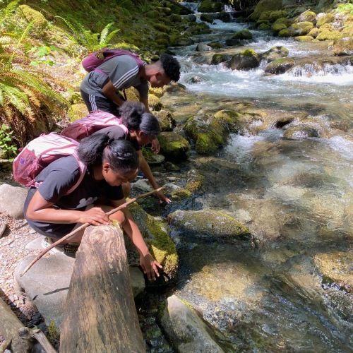Three BIPOC youth wearing backpacks bend over a stream as they reach their hands in. The stream is clear and flows over rocks of various sizes. The land around them is covered in moss and ferns.