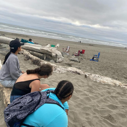 Three individuals sit on a log on the beach, looking out at the waves and clouds. Near them are lawn chairs in the sand. 