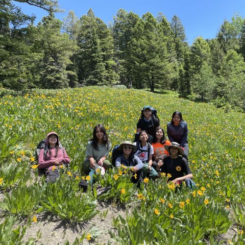 A group sits on a grassy hill, with yellow flowers peeking through the grass. Trees with thick, bushy leaves line the back of the hill.