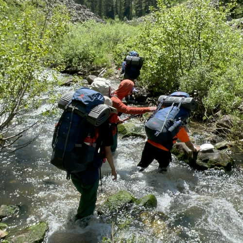 Participants carefully wade through a river during their hike. The surrounding landscape has lush, green hills that are abundant with thick trees.