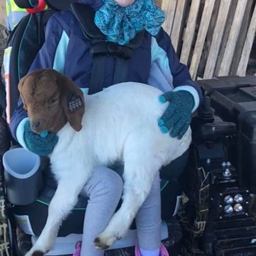 A young program participant, bundled in warm clothing, holds a baby goat on her lap. As the goat calmly sits still, the girl wears a pleasantly surprised expression.