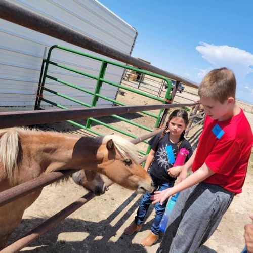 Two participants pet a small horse through a pen at Harmony Acres; bonding with animals is a favorite activity at CDA’s summer adventures.