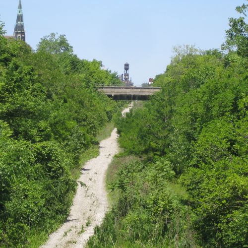A dirt path with overgrown trees flanking either side continues into the distance. An overhead pass is seen in the distance. 