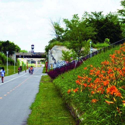A paved path with lane markings is utilized by walkers and bikers on a . To the left of the path are lamp posts lining the path and to the right is a sloped area of land full of orange flower blossoms. 