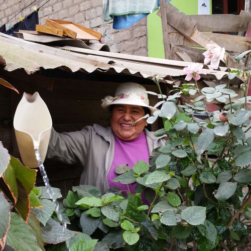 Smiling woman pours water from a pitcher onto plants. There’s a corrugated metal roof over her head.