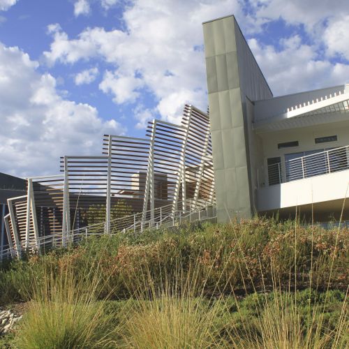 A hillside planted with shrubs and ornamental grasses has a large, modern-style building behind it.
