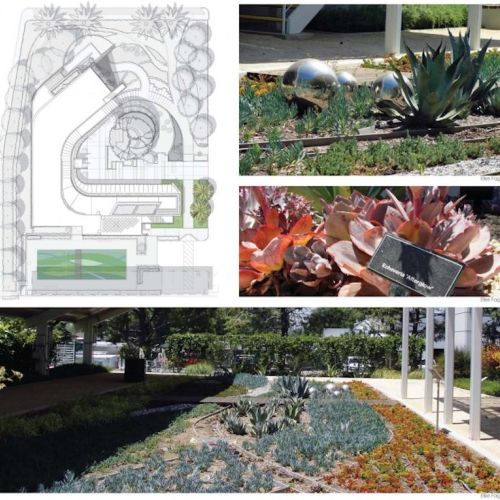 Collage image has a site map illustration and three photos: two photos are close-ups of succulent plants and the third is a succulent garden planting.