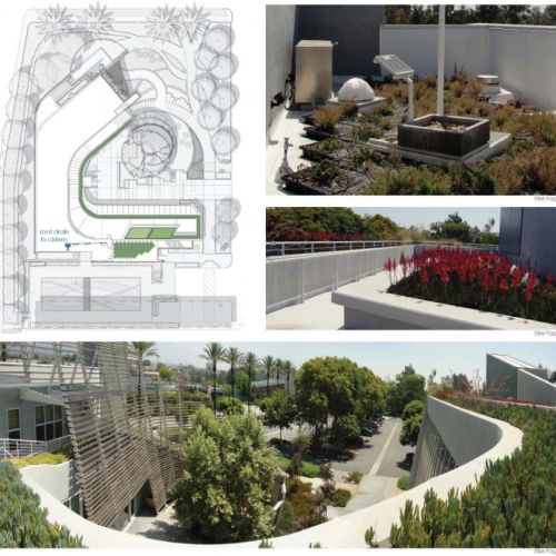 Collage image has a site map illustration and three photos. One photo shows trays filled with plants, one shows a raised planted area adjacent to a building, and one shows an aerial view of a planted roof with walkways and gardens visible below.