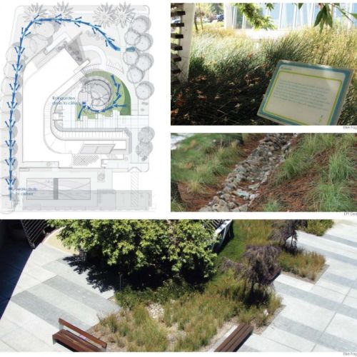 Collage image has a site map illustration and three photos. The first shows an outdoor interpretive sign about a bioswale, the second shows a cobble swale, and the third shows an aerial view of a garden surrounded by a large walkway.