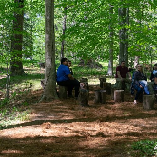 A group of people sit in a clearing in a wooded setting. Their seats are tree stumps.
