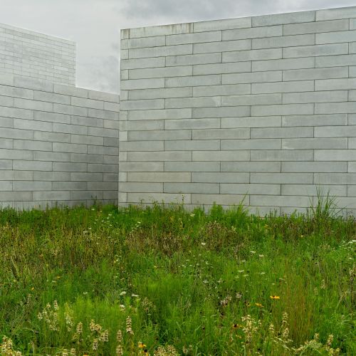 A meadow planting filled with foliage and flowering plants in front of large stone buildings with a minimalist style.