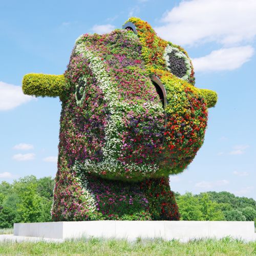 A large sculpture of an animal head made from plants, with one side of the head resembling a child’s rocking horse, and the other side a dinosaur. 
