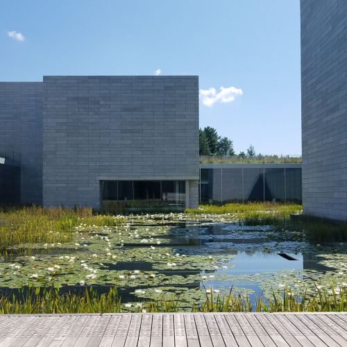 A water feature with aquatic plants sits between large minimalist buildings with a walkway in the foreground.