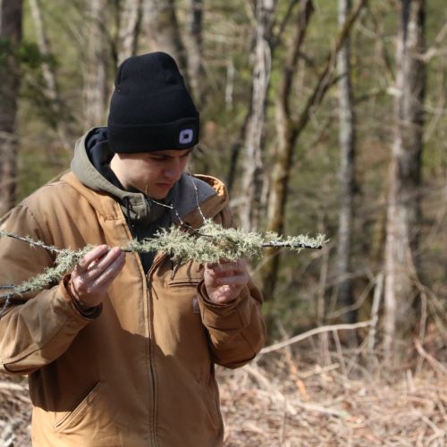 A UT student at Tremont’s second campus stands in a wooded area with a branch in his hand, which he closely studies; the branch itself is covered with a type of spiky, green plant.