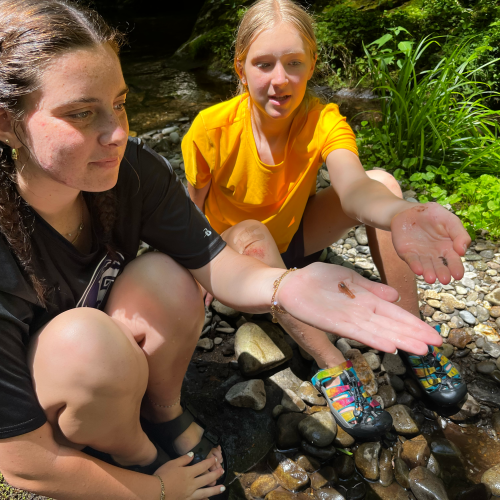 During a Tremont Wilderness Adventure Trek, two participants sit on the wet, rocky bank of a river; they hold up their hands, which have an insect on them.