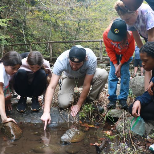 In a wooded area, a staff member points out an object in the small, shallow pond while a crowd of young participants gather around to see.