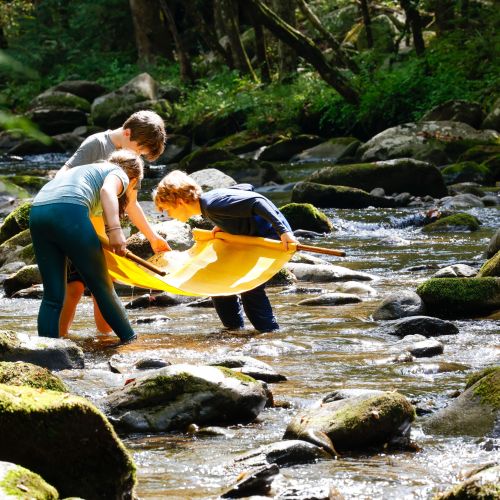 Three students are wading in a sparkling river, each holding the same large sheet of canvas used to gather objects and critters found in the river.