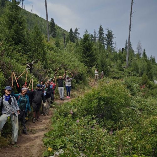 A youth crew performs trail maintenance work at Grand Teton National Park. The trail itself runs through thick foliage that grows from the side of a hill.