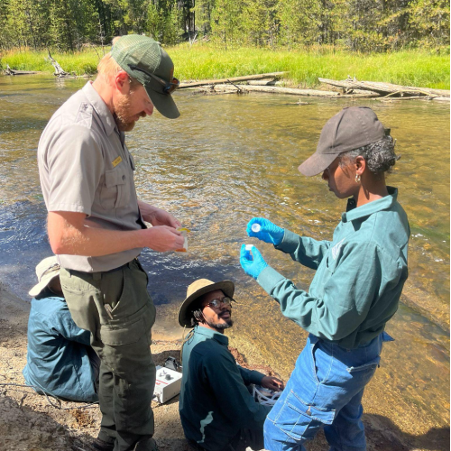 In a national park, four participants conduct scientific research on water quality and biodiversity by collecting water samples at a shallow stream with trees on the far side.