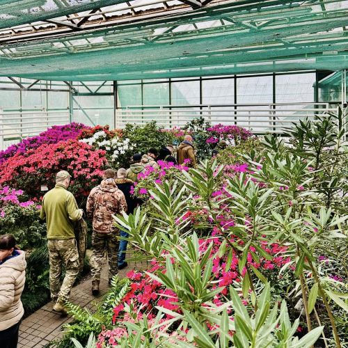 Group of adults dressed in camouflage walking single file through a greenhouse filled with colorful plants.