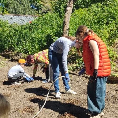 Four children engaged in garden tasks on a patch of soil next to greenery. Two are watering with a hose and two are digging behind them.