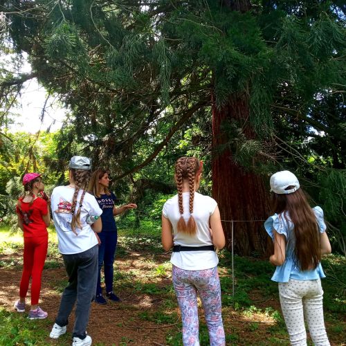 An adult and a group of children gathered beneath a tree with a large canopy of branches. The adult is leading a discussion.