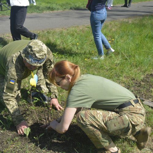Two adults dressed in camouflage uniforms are crouched down on a grassy area next to a path planting together.