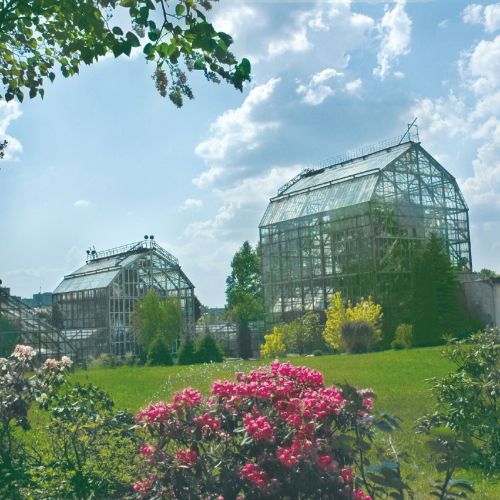 Pink flowering shrubs and grass in the foreground with three tall glass greenhouses in the background.