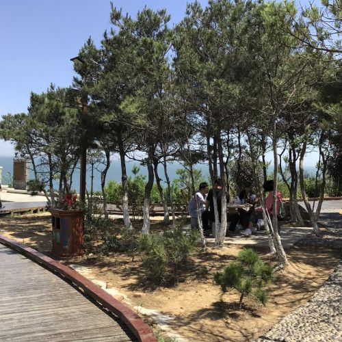 People walk along a wooden walkway that curves around a small, wooded area. There are several people sitting at a table under the trees.