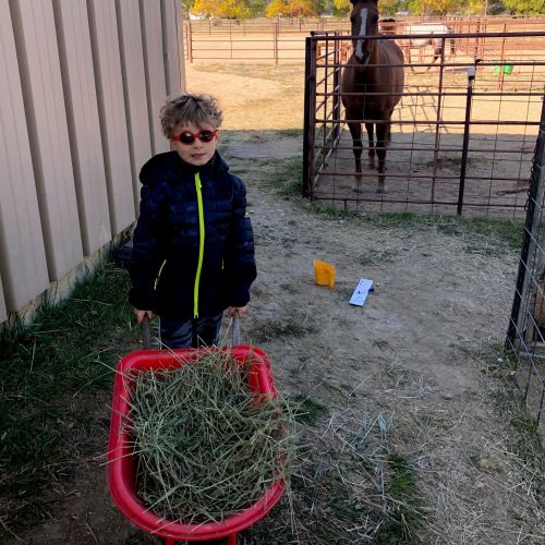 A young boy in a jacket and sunglasses smiles as he pushes a red wheelbarrow full of hay in front of a horse.