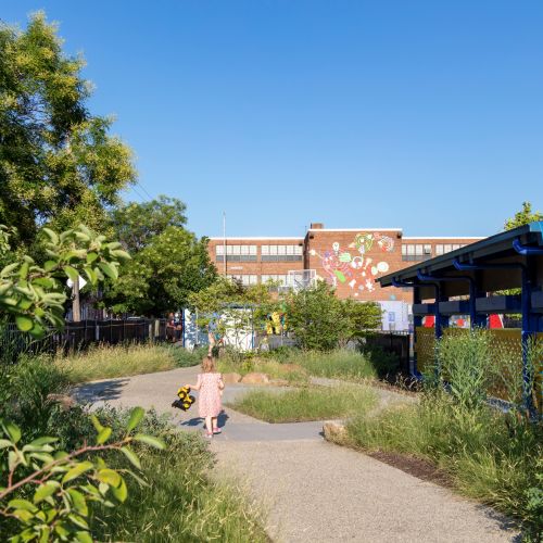 A young child with a toy in hand walks along a path planted on both sides with native grasses and other greenery.