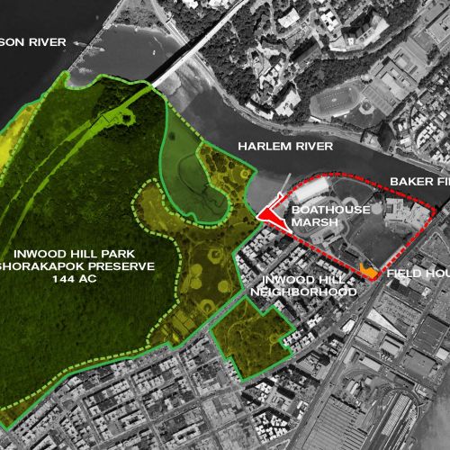 Aerial photo shows the outlines of the marsh in the context of the surrounding neighborhood.