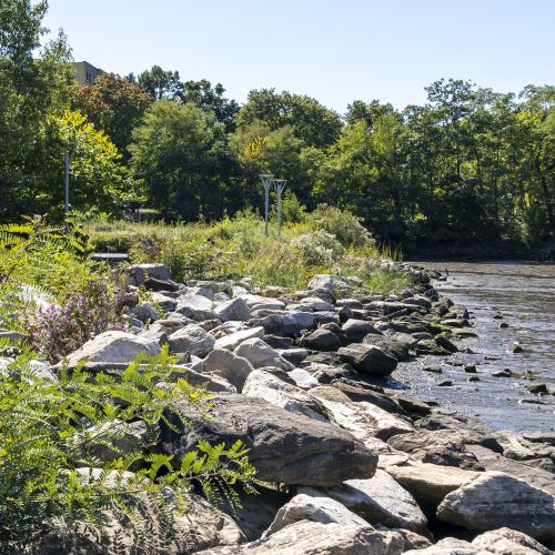 A river flows on the right with large rocks on the riverbank.