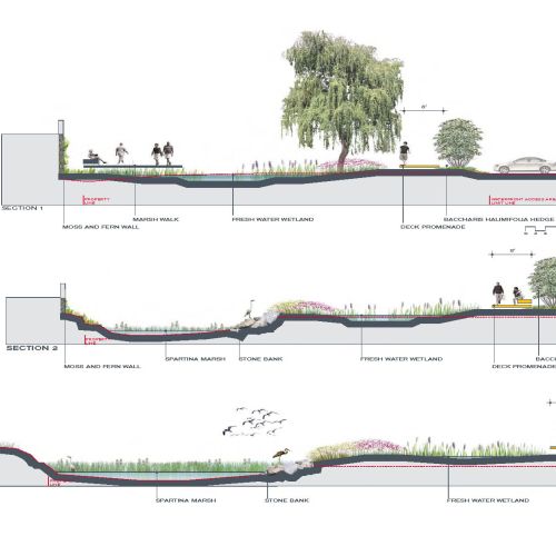Illustrations show different sections of the marsh, including the types of wetlands and build areas.