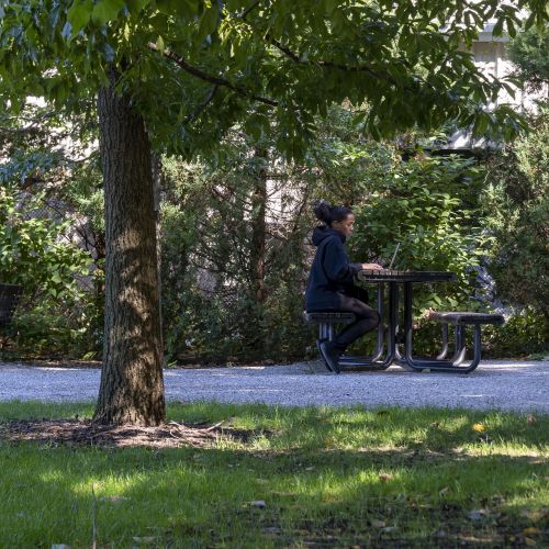 A person sits at a picnic table on the side of a path in the shade of a large tree. 