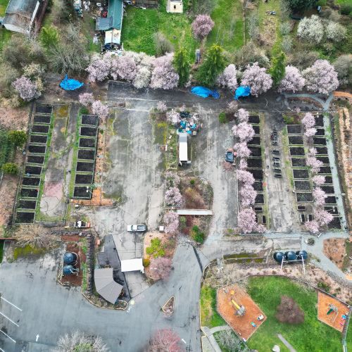 Aerial photo of the garden showing several rows of raised beds surrounded by trees and shrubs.