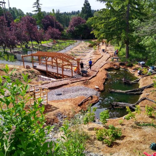Garden with curving paths, pond on the right, and bridge on the left. In the left background three adults are removing mulch from a wheelbarrow and spreading it.