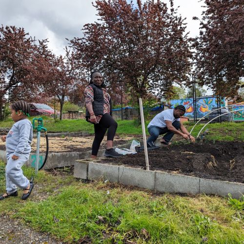 Two adults readying a garden plot for planting with young child in foreground.